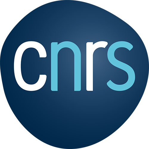 LOGO CNRS 2019 RVB